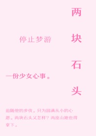 两块石头的寓意解析